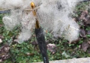 HILADOS